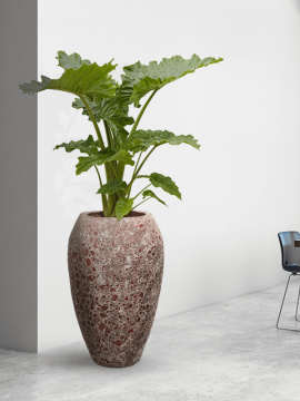 nieuwkoop-planters/6LAVE750P_1