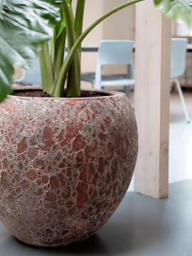 nieuwkoop-planters/6LAVG550P_2