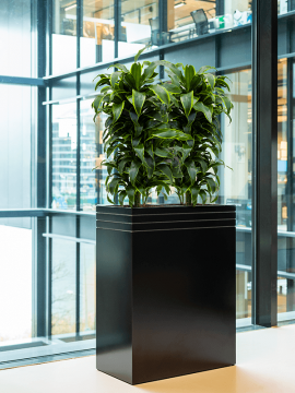 nieuwkoop-planters/6LUPR18MB_1