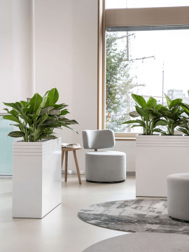 nieuwkoop-planters/6LUPR60MW_1