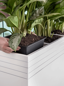 nieuwkoop-planters/6LUPR88MW_2
