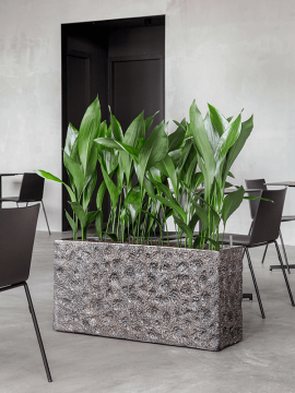 nieuwkoop-planters/6LXLAMR55_1