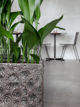 nieuwkoop-planters/6LXLAMR55_2