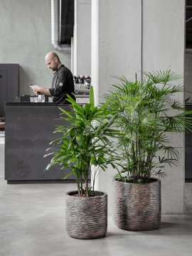 nieuwkoop-planters/6LXLAXC31_1
