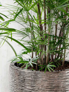 nieuwkoop-planters/6LXLAXC31_2