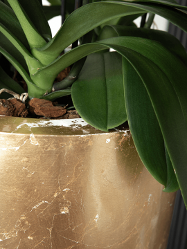 nieuwkoop-planters/6LXLGWG09_2