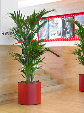 nieuwkoop-planters/6MXL03770_2