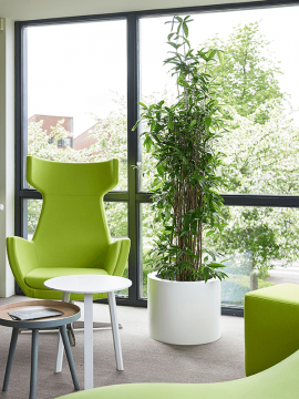 nieuwkoop-planters/6MXL03970_1