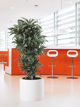 nieuwkoop-planters/6MXL03970_2