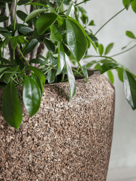 nieuwkoop-planters/6NACNAC65_2