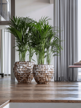 nieuwkoop-planters/6OCECB807_1