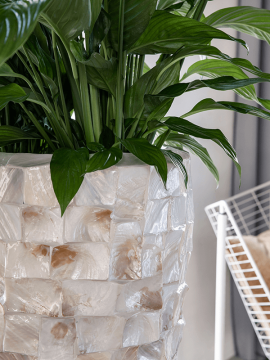 nieuwkoop-planters/6OCEPW414_2