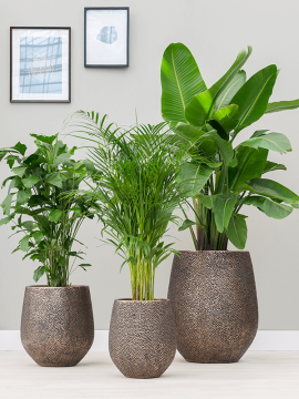 nieuwkoop-planters/6OPSD38RG_1