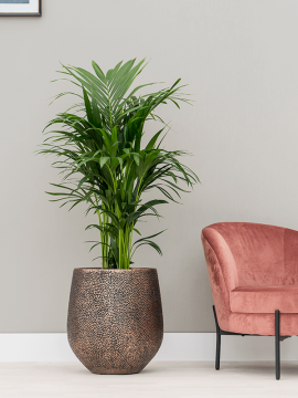 nieuwkoop-planters/6OPSD45RG_2