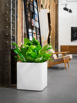 nieuwkoop-planters/6OTIQU6WH_1