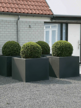 nieuwkoop-planters/6POCV0808_2
