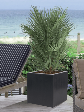 nieuwkoop-planters/6POCV1010_1