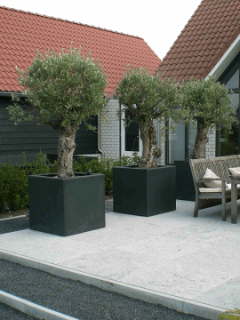nieuwkoop-planters/6POCV1010_3