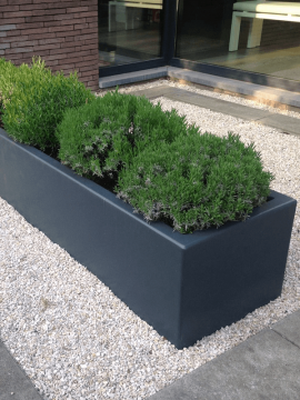 nieuwkoop-planters/6POCZ1256_1