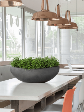 nieuwkoop-planters/6POSPBS20_1