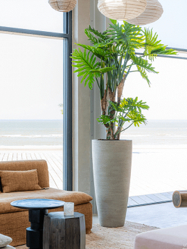 nieuwkoop-planters/6PPNCDX90_1