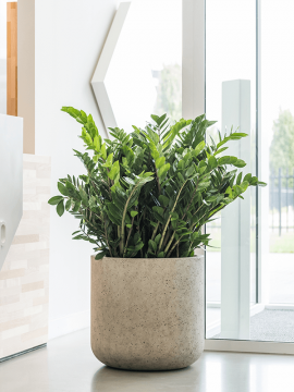 nieuwkoop-planters/6PPNE5519_2