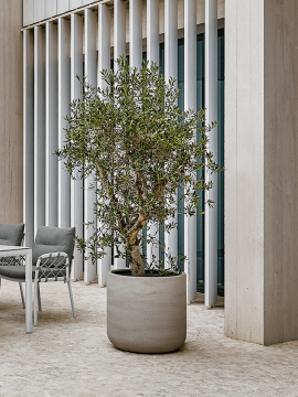 nieuwkoop-planters/6PPNE5519_3