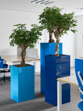 nieuwkoop-planters/6PRG01310_1