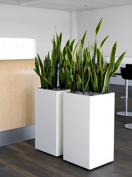nieuwkoop-planters/6PRG01340_2