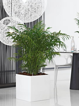 nieuwkoop-planters/6PRG01730_1