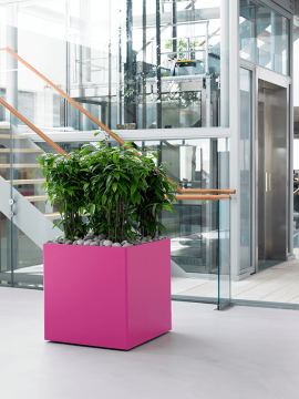 nieuwkoop-planters/6PRG01730_2