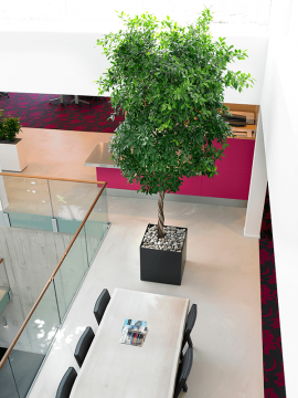 nieuwkoop-planters/6PRG01730_3