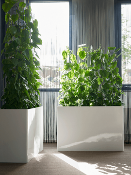 nieuwkoop-planters/6PRG02310_3
