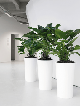 nieuwkoop-planters/6PRI03140_2