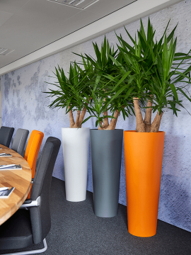 nieuwkoop-planters/6PRI03160_3