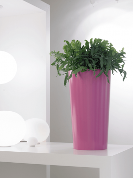 nieuwkoop-planters/6PRI03180_1