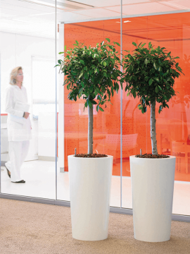 nieuwkoop-planters/6PRI03410_1