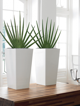 nieuwkoop-planters/6PRM02810_2