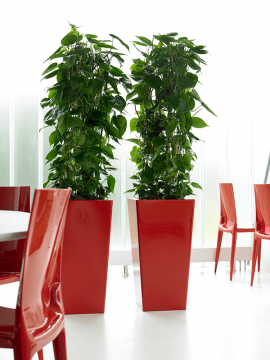 nieuwkoop-planters/6PRM02940_1