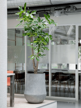 nieuwkoop-planters/6PSC321RG_1