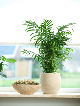nieuwkoop-planters/6PTR63388_1