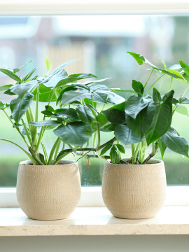 nieuwkoop-planters/6PTR63388_2