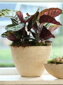 nieuwkoop-planters/6PTR63394_1