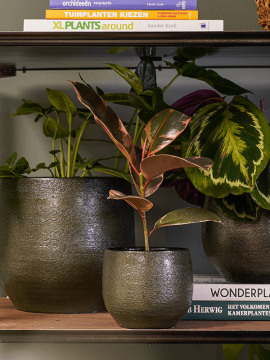 nieuwkoop-planters/6PTR63562_1