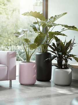 nieuwkoop-planters/6PURBLP66_1