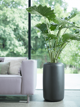 nieuwkoop-planters/6PURBLW66_2