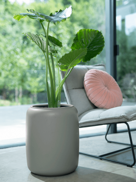 nieuwkoop-planters/6PURBMB48_2