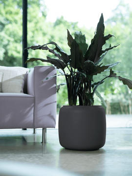nieuwkoop-planters/6PURBSW35_2