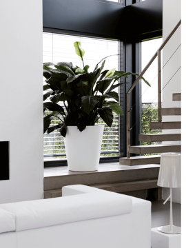 nieuwkoop-planters/6PURSRW050_2