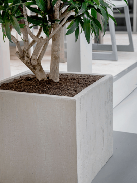 nieuwkoop-planters/6RDPBE247_2